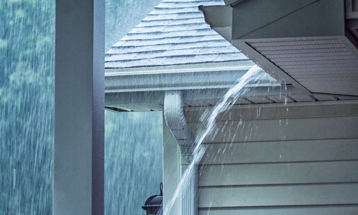 Professional gutter cleaning in New Jersey